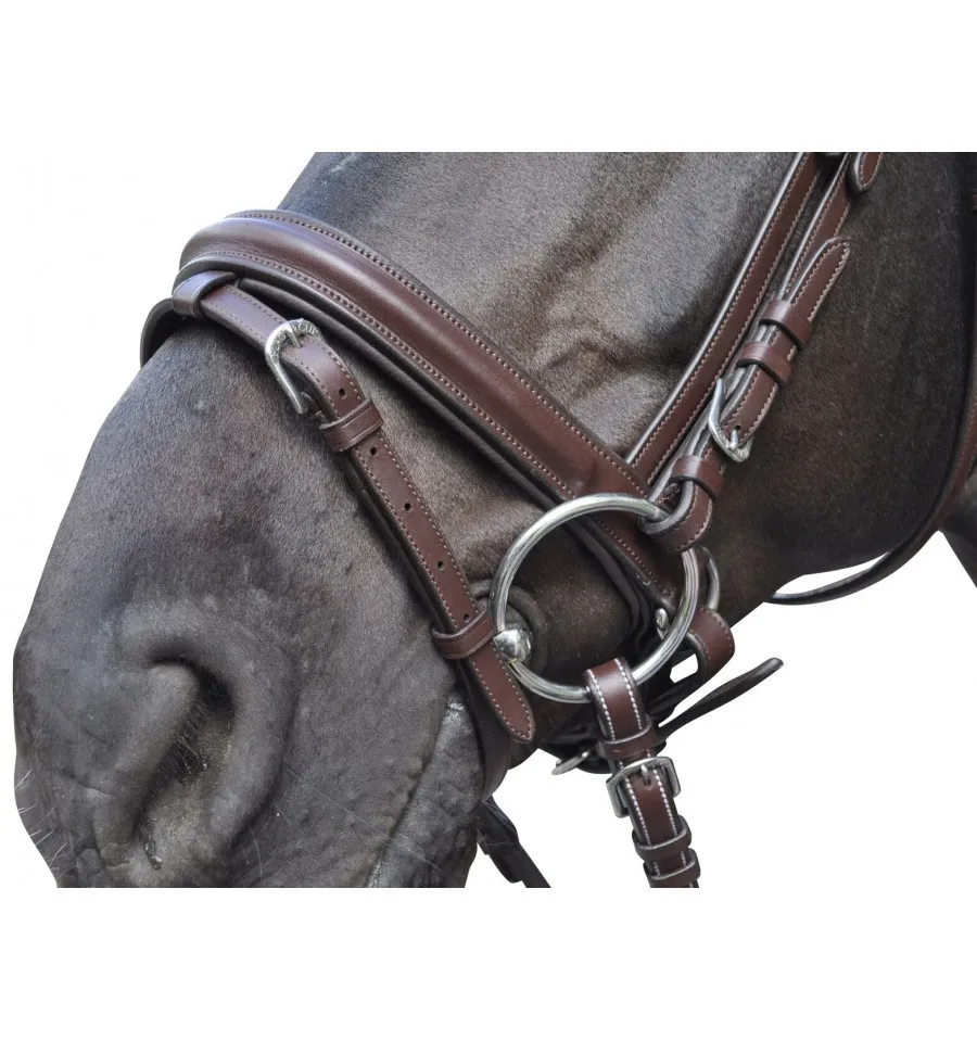 Bridon Hickstead Flags & Cup pour Cheval et Poney