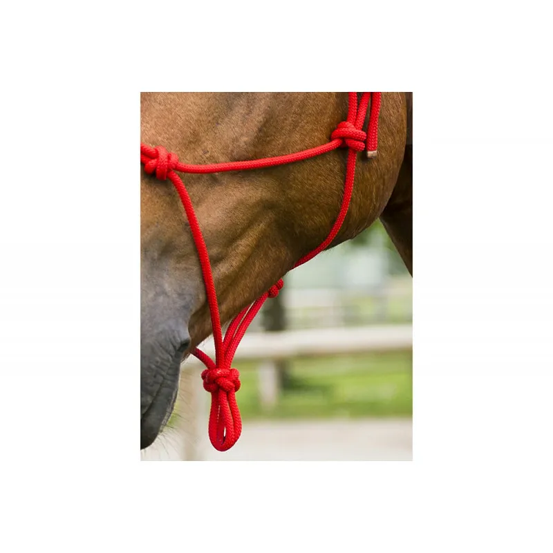 Licol éthologique First en corde de 10 mm pour le cheval