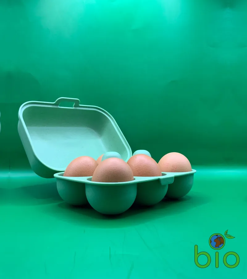 Oeufs extra frais selon arrivage - Français