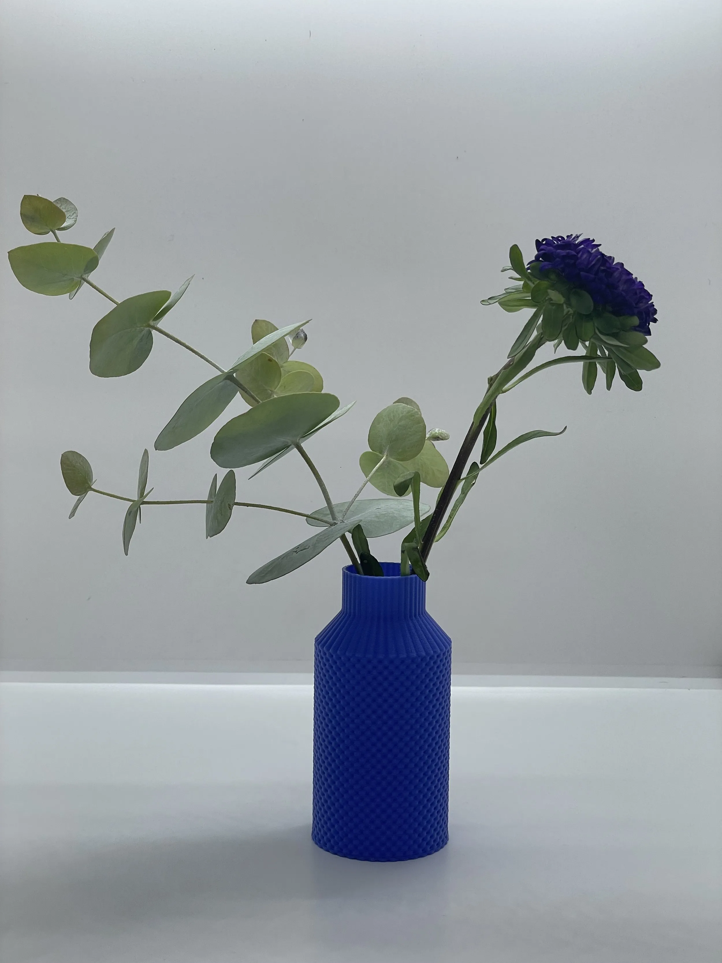 Vase-Racou-transparent-Studio-Maracuja — Mademoiselle C
